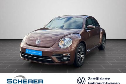 VW Beetle Gebrauchtwagen