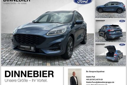 Ford Kuga Gebrauchtwagen