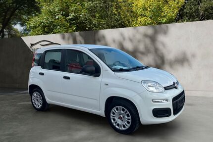 Fiat Panda Gebrauchtwagen