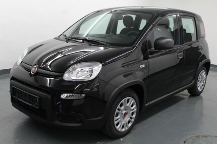 Fiat Panda Gebrauchtwagen