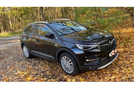 Opel Grandland (X) Gebrauchtwagen