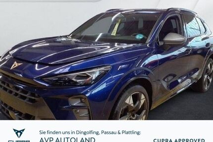 Cupra Terramar Gebrauchtwagen