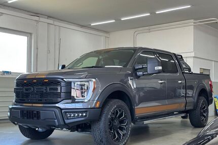 Ford F 150 Gebrauchtwagen