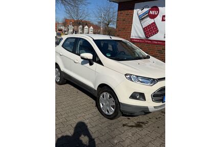 Ford EcoSport Gebrauchtwagen