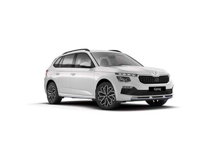 Skoda Kamiq Gebrauchtwagen