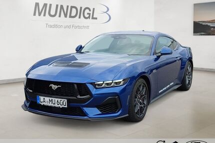Ford Mustang Gebrauchtwagen