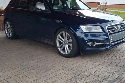 Audi SQ5 Gebrauchtwagen