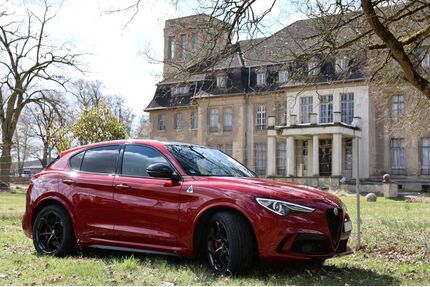 Alfa Romeo Stelvio Gebrauchtwagen