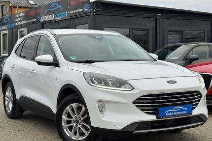 Ford Kuga Gebrauchtwagen