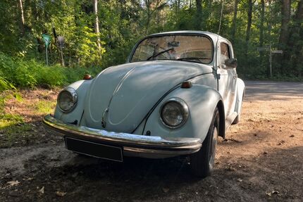 VW Käfer Gebrauchtwagen