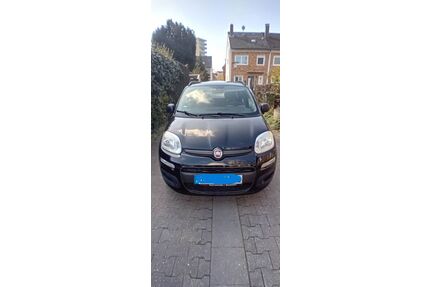 Fiat Panda Gebrauchtwagen