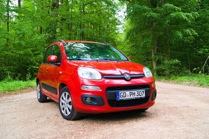 Fiat Panda Gebrauchtwagen
