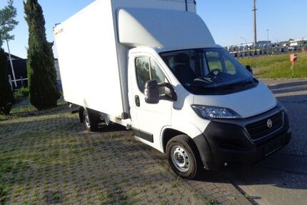Fiat Ducato Gebrauchtwagen