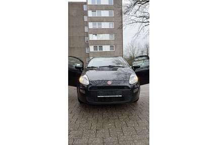 Fiat Punto Gebrauchtwagen