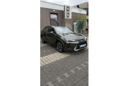 Lexus UX Gebrauchtwagen