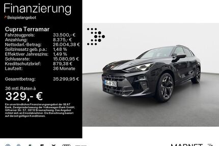 Cupra Terramar Gebrauchtwagen