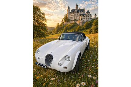 Wiesmann MF 3 Gebrauchtwagen