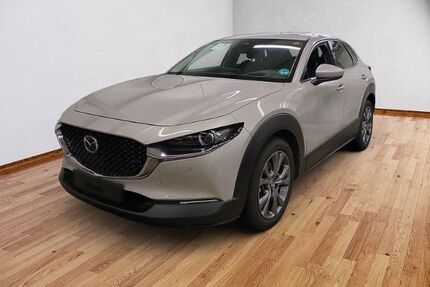 Mazda CX-30 Gebrauchtwagen