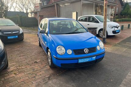 VW Polo Gebrauchtwagen