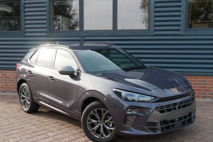 Cupra Terramar Gebrauchtwagen