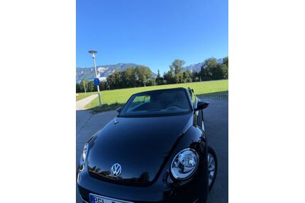 VW Beetle Gebrauchtwagen