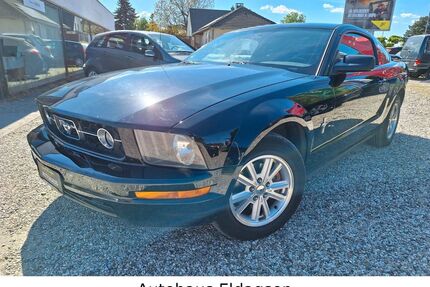 Ford Mustang Gebrauchtwagen