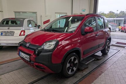 Fiat Panda Gebrauchtwagen