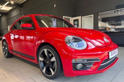 VW Beetle Gebrauchtwagen