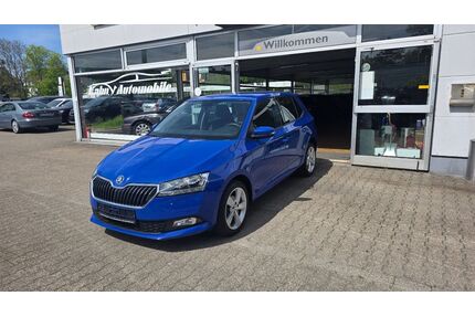 Skoda Fabia Gebrauchtwagen