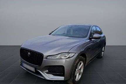 Jaguar F-Pace Gebrauchtwagen