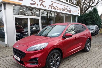 Ford Kuga Gebrauchtwagen