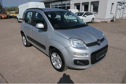 Fiat Panda Gebrauchtwagen