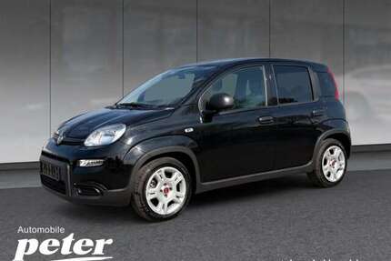 Fiat Panda Gebrauchtwagen