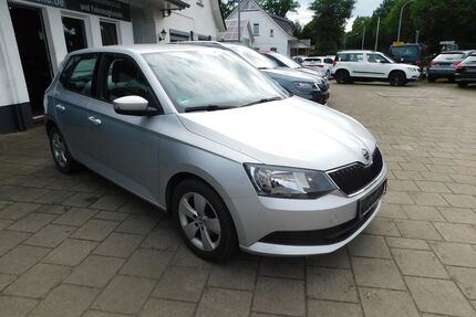 Skoda Fabia Gebrauchtwagen