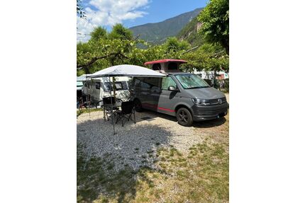 VW T6 Transporter Gebrauchtwagen