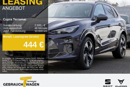 Cupra Terramar Gebrauchtwagen