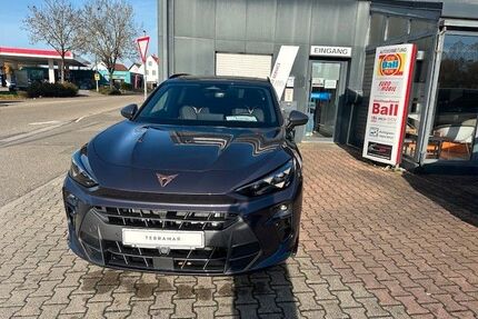 Cupra Terramar Gebrauchtwagen