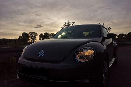 VW Beetle Gebrauchtwagen