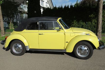 VW Käfer Gebrauchtwagen