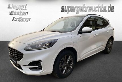 Ford Kuga Gebrauchtwagen