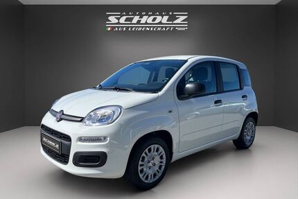 Fiat Andere Gebrauchtwagen