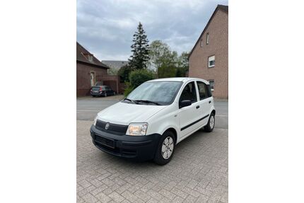 Fiat Panda Gebrauchtwagen