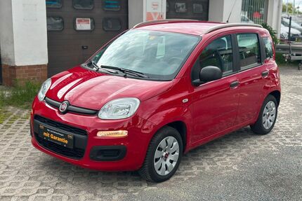 Fiat New Panda Gebrauchtwagen