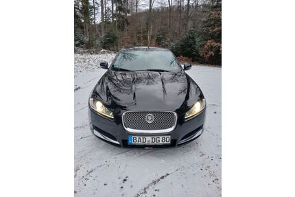Jaguar XF Gebrauchtwagen
