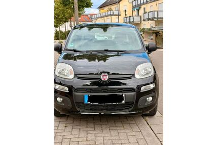 Fiat New Panda Gebrauchtwagen