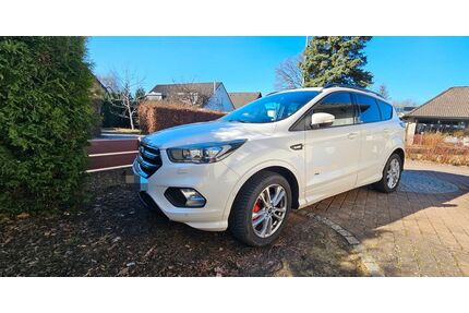 Ford Kuga Gebrauchtwagen
