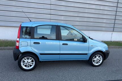 Fiat Panda Gebrauchtwagen