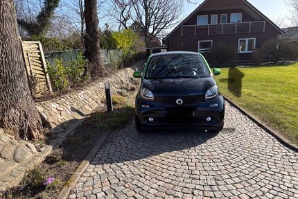 Smart ForTwo Gebrauchtwagen