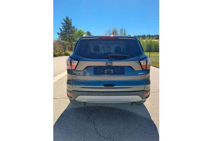 Ford Kuga Gebrauchtwagen