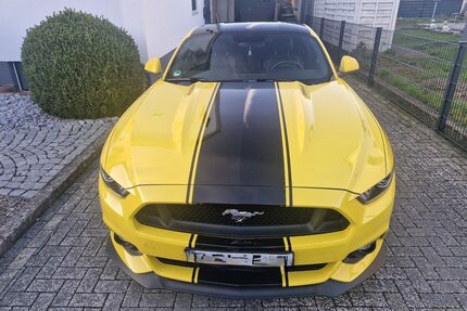Ford Mustang Gebrauchtwagen